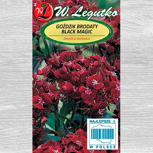 Garoafă turcească Black Magic Legutko imagine 1 articol 69590