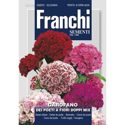 Garofiță de grădină cu flori duble, mix multicolor imagine 1 articol 87318