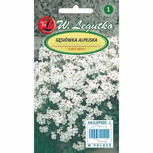 Gâscarița alpină albă imagine 1 articol 96702