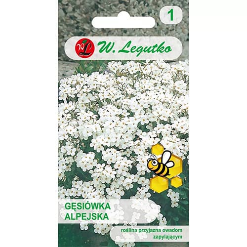 Gâscăriță alpină, mix multicolor imagine 1 articol 87861