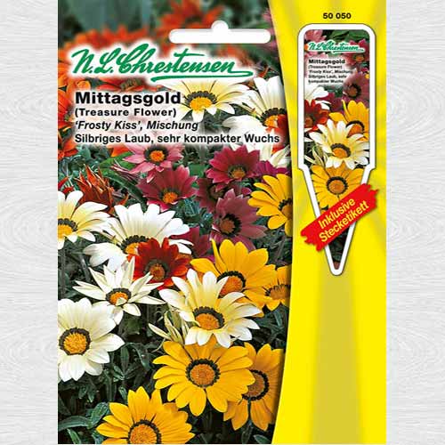 Gazania (Floarea comoară) Frosty Kiss, mix multicolor imagine 1 articol 69303
