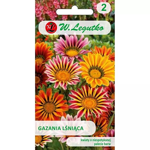 Gazania (Floarea comoară), mix multicolor imagine 1 articol 78554