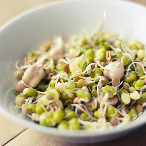 Germeni amestec bogat proteic imagine 1 articol 66955