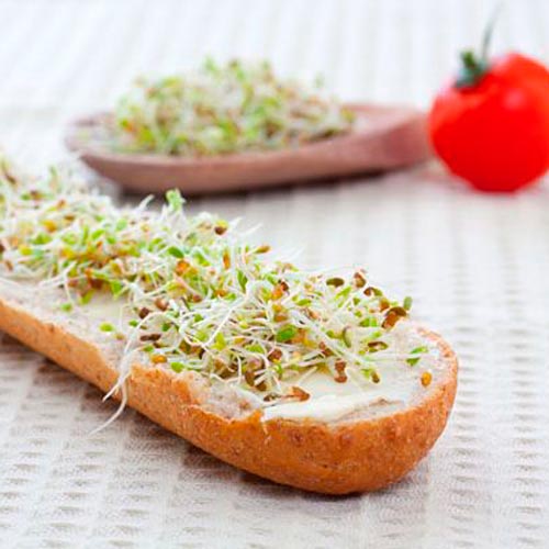 Germeni amestec dietetic imagine 1 articol 66949