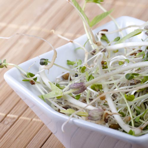 Germeni amestec franțuzesc imagine 1 articol 66950