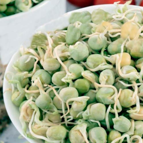 Germeni Mazăre imagine 1 articol 66930