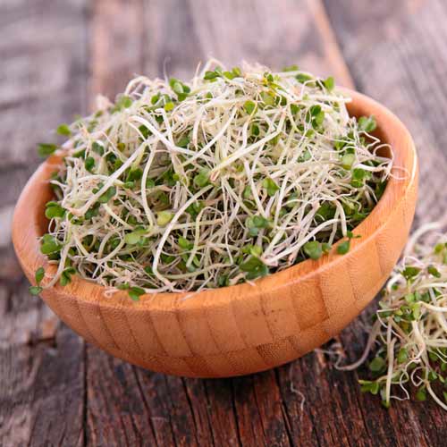 Germeni Praz imagine 2 articol 66937