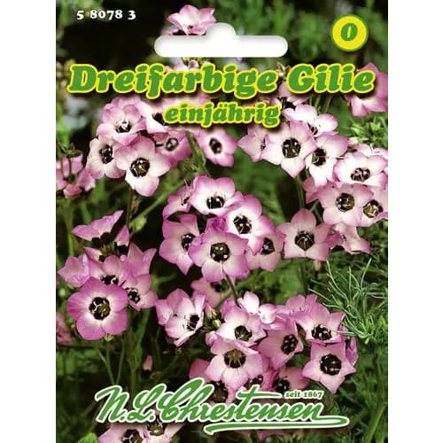 Gilia Tricolor imagine 1 articol 96458