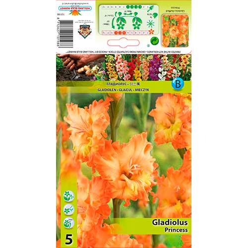 Gladiole Ruffled Princess imagine 1 articol 76252