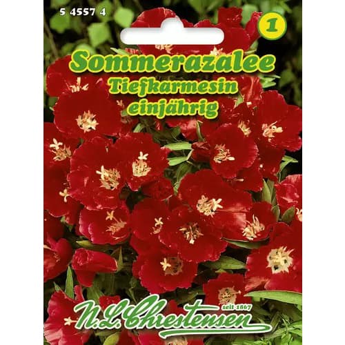 Godetia Deep Crimson imagine 1 articol 96425