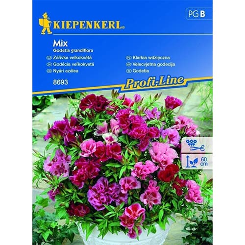 Godetia, mix multicolor imagine 1 articol 96537