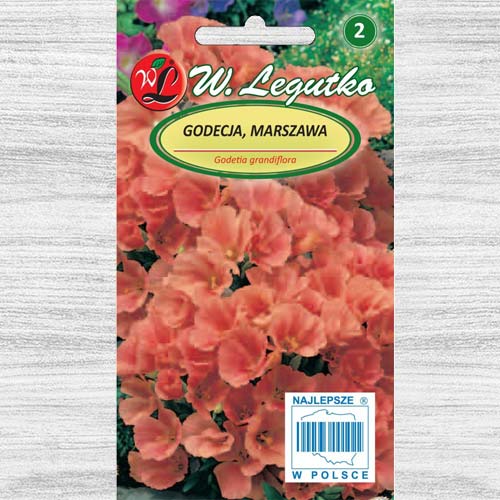 Godetia portocalie imagine 1 articol 78558