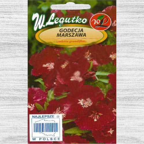 Godetia roșie Legutko imagine 1 articol 78560