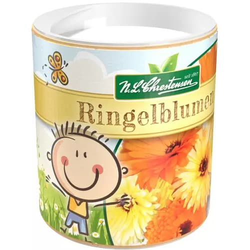 Grădina copiilor Gălbenele imagine 1 articol 87838