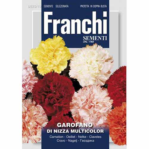 Градински пълен карамфил, смес от цветове изображение 1 артикул 87317