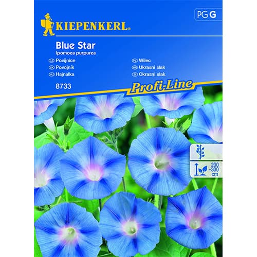 Грамофонче Blue Star Kiepenkerl изображение 1 артикул 86268