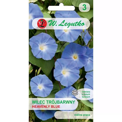 Грамофонче Heavenly Blue изображение 1 артикул 78595