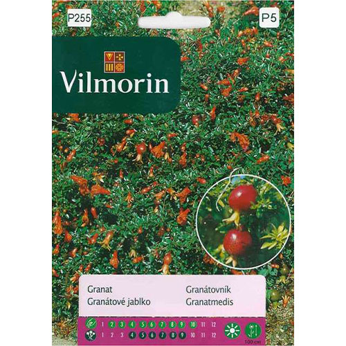 Granat, nasiona Vilmorin interface.image 1 interface.art 86637
