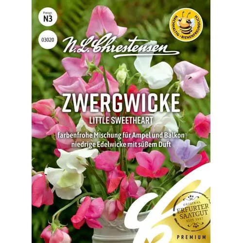 Groszek pachnacy Little Sweetheart, mix kolorow interface.image 1 interface.art 87352
