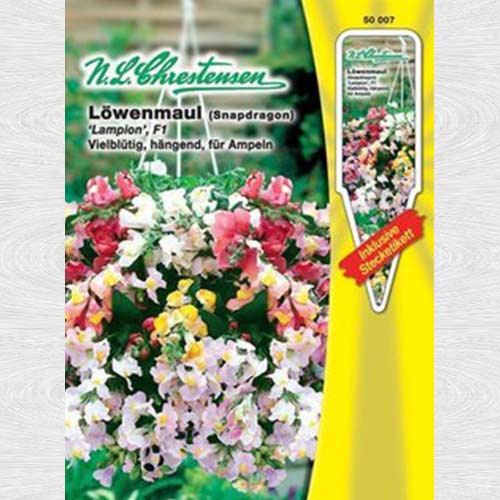 Gura leului curgătoare Lampion F1, mix multicolor imagine 1 articol 69240