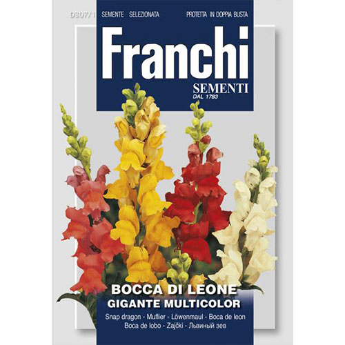 Gura leului gigant, mix multicolor imagine 1 articol 87123