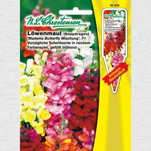 Gura leului Madame Butterfly F1, mix multicolor imagine 1 articol 69237