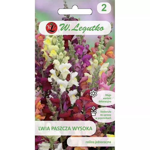 Gura leului, mix multicolor imagine 1 articol 78576