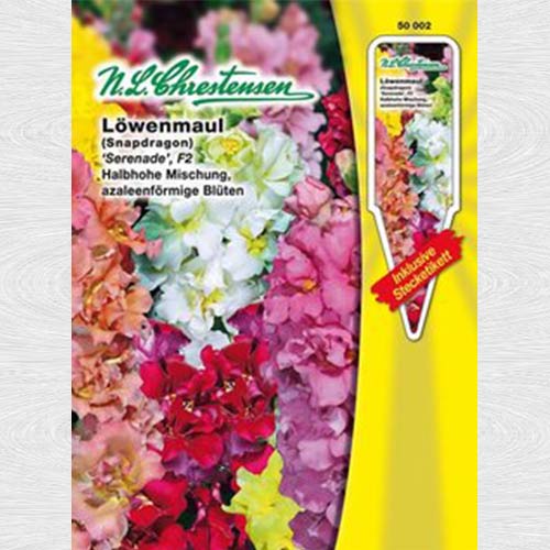 Gura leului pitică Serenade F2, mix multicolor imagine 1 articol 69236