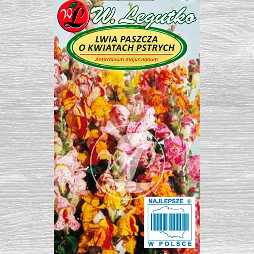 Gura leului pitică Tutti Frutti, mix multicolor Legutko imagine 1 articol 69601