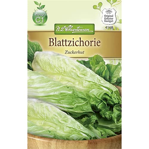 Cicoare albă (radicchio) Zuckerhut imagine 1 articol 86153