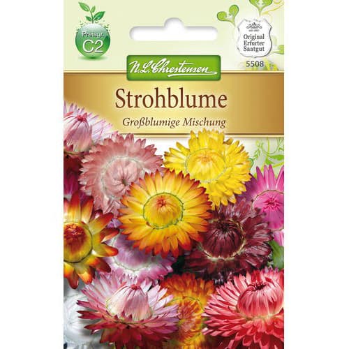 Helichrysum cu flori mari, mix multicolor imagine 1 articol 78978
