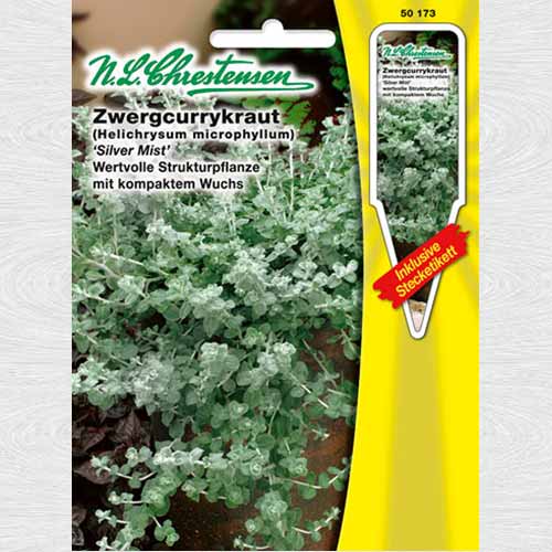 Helichrysum microphyllum Silver Mist imagine 1 articol 69318