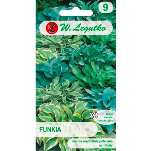 Хоста, смес Legutko изображение 1 артикул 78600