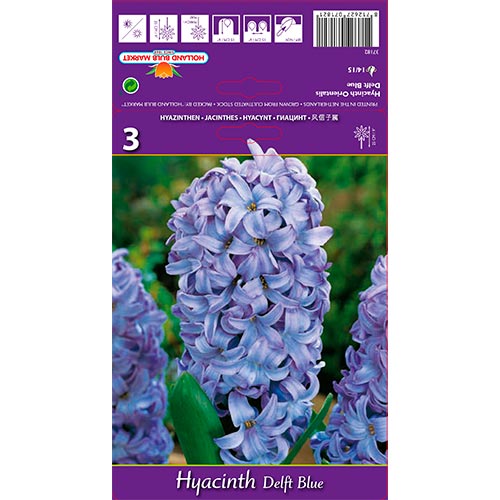 Zambile Delft Blue imagine 1 articol 67359