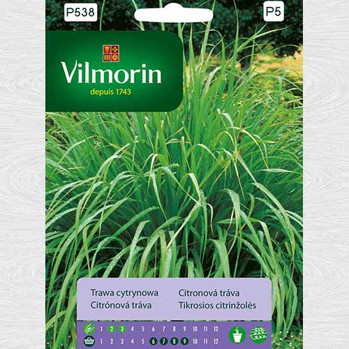 Iarbă de lămâie (Lemongrass) 2 imagine 1 articol 69705