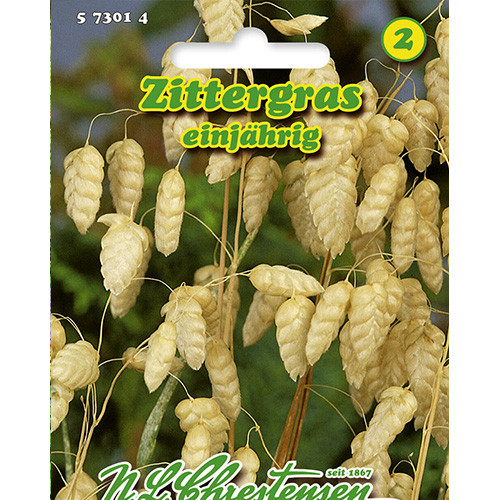 Iarbă decorativă (Briza maxima) Chrestensen imagine 1 articol 86125