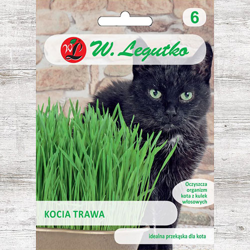 Iarba mâței Legutko imagine 1 articol 78568