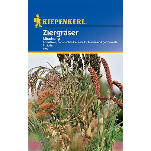 Iarbă ornamentală, mix multicolor imagine 1 articol 77413