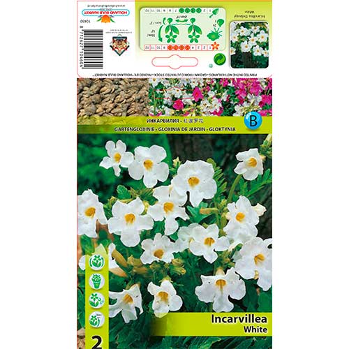 Инкарвилея Delavayi White изображение 1 артикул 76281