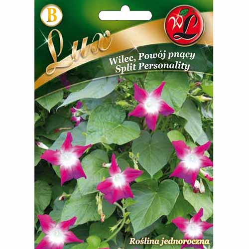 Zorele (Ipomea) Split Personality imagine 1 articol 96782