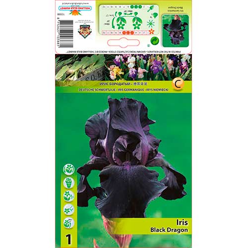 Iris germanica (Stânjenel) Black Dragon imagine 1 articol 76283