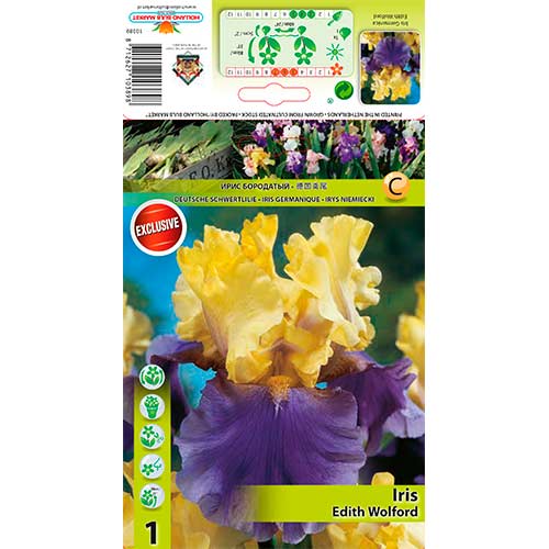 Iris germanica (Stânjenel) Edith Wolford imagine 1 articol 76288