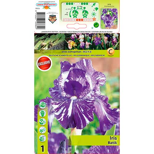 Ирис германика Batik изображение 1 артикул 76282