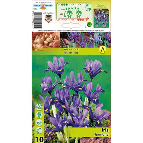 Ирис Harmony изображение 1 артикул 67381