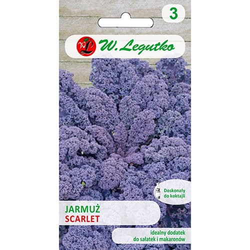 Kapusta jarmuz Scarlet interface.image 1 interface.art 69475