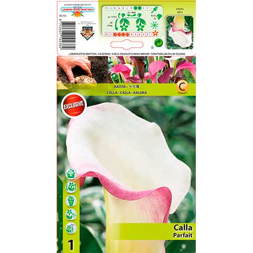 Кала Parfait изображение 1 артикул 76195