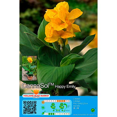 Кана Happy Emily изображение 1 артикул 76402