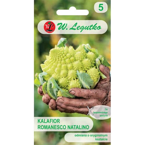 Карфиол Romanesco изображение 1 артикул 69477