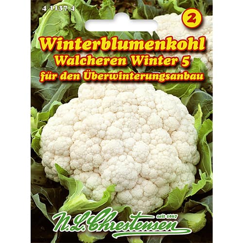 Карфиол Walcheren Winter 5 изображение 1 артикул 86026