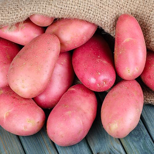 Картофи Memphis изображение 1 артикул 4826